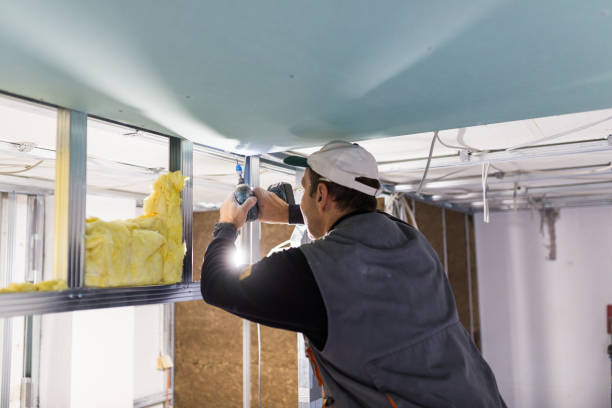 Best Spray Foam Insulation  in Mangum, OK