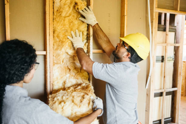 Best Insulation for New Construction  in Mangum, OK