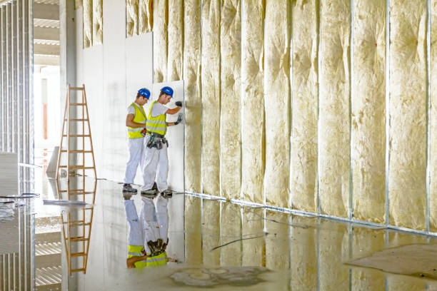 Best Energy-efficient Insulation  in Mangum, OK
